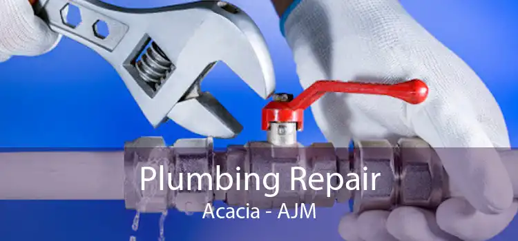 Plumbing Repair Acacia - AJM