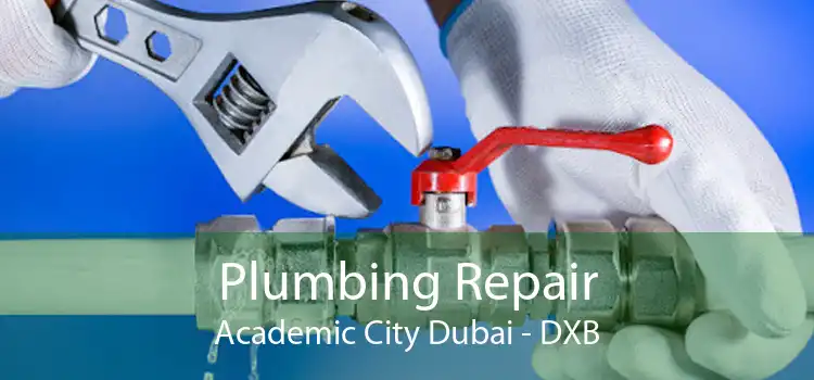 Plumbing Repair Academic City Dubai - DXB