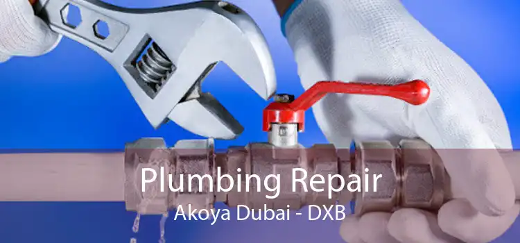 Plumbing Repair Akoya Dubai - DXB