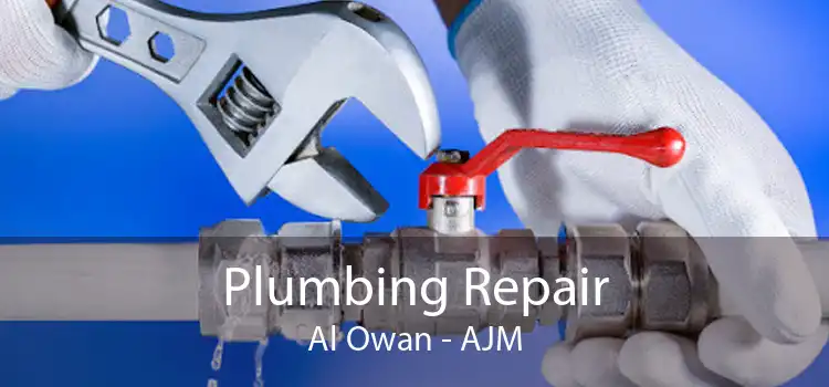 Plumbing Repair Al Owan - AJM