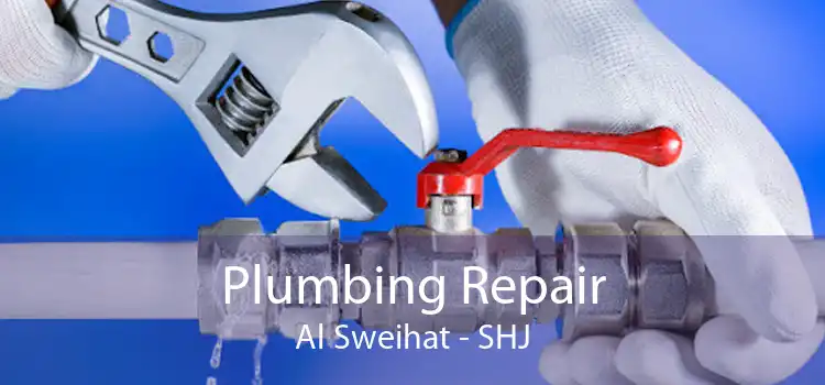 Plumbing Repair Al Sweihat - SHJ