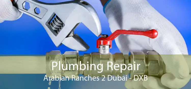 Plumbing Repair Arabian Ranches 2 Dubai - DXB