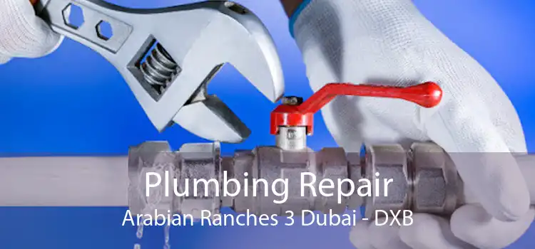 Plumbing Repair Arabian Ranches 3 Dubai - DXB