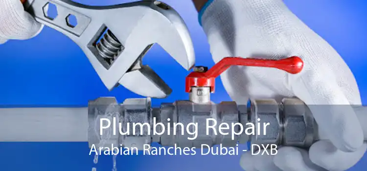 Plumbing Repair Arabian Ranches Dubai - DXB