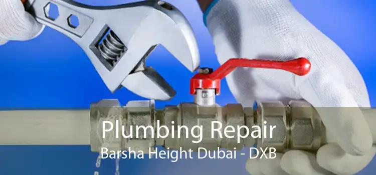 Plumbing Repair Barsha Height Dubai - DXB