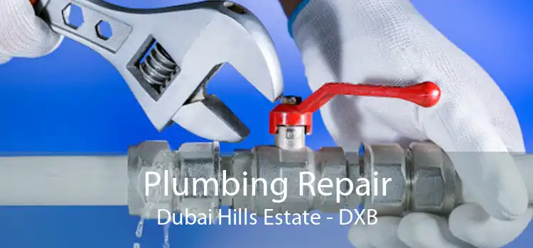 Plumbing Repair Dubai Hills Estate - DXB