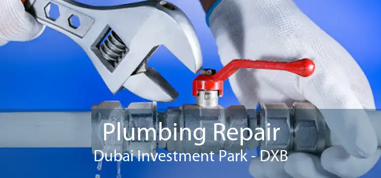 Plumbing Repair Dubai Investment Park - DXB