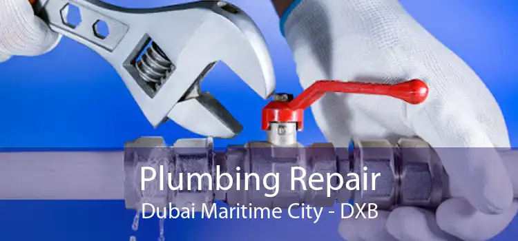 Plumbing Repair Dubai Maritime City - DXB