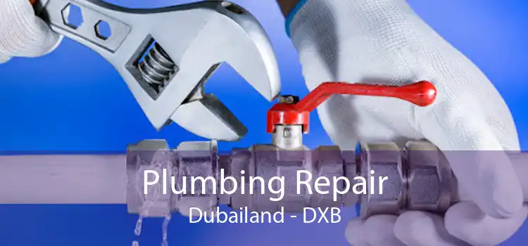 Plumbing Repair Dubailand - DXB