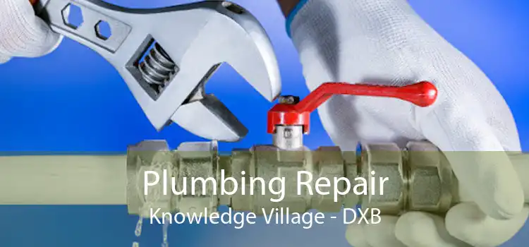 Plumbing Repair Knowledge Village - DXB