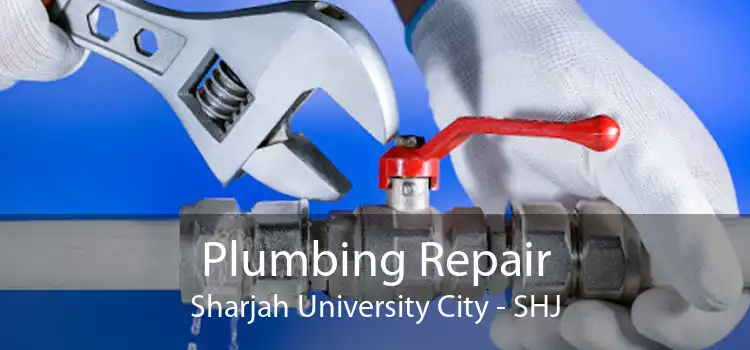 Plumbing Repair Sharjah University City - SHJ