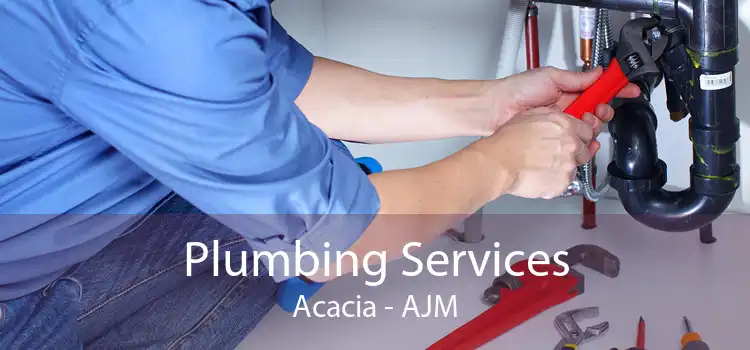 Plumbing Services Acacia - AJM