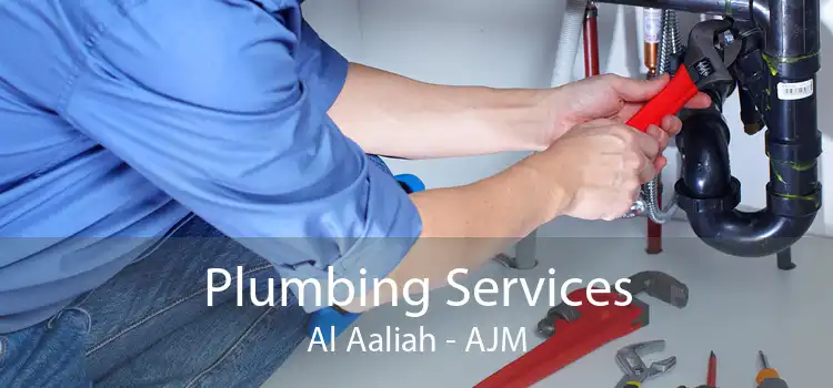 Plumbing Services Al Aaliah - AJM