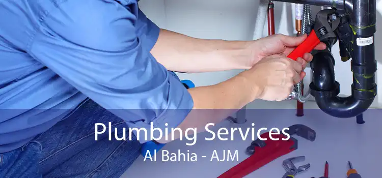 Plumbing Services Al Bahia - AJM