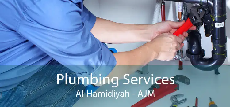 Plumbing Services Al Hamidiyah - AJM