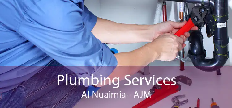 Plumbing Services Al Nuaimia - AJM