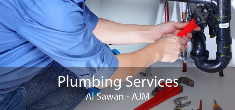 Plumbing Services Al Sawan - AJM