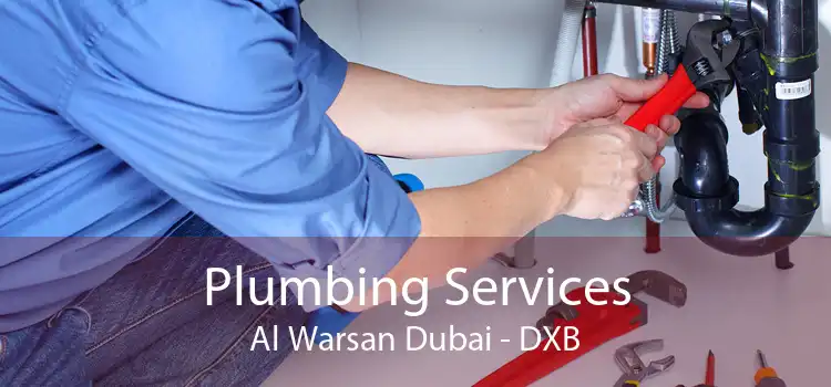 Plumbing Services Al Warsan Dubai - DXB