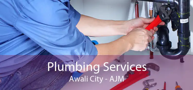 Plumbing Services Awali City - AJM