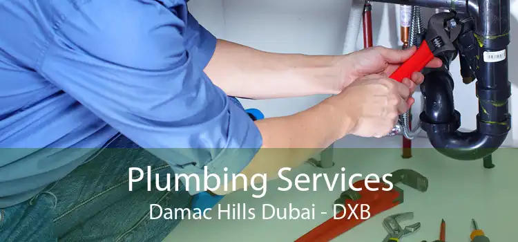 Plumbing Services Damac Hills Dubai - DXB