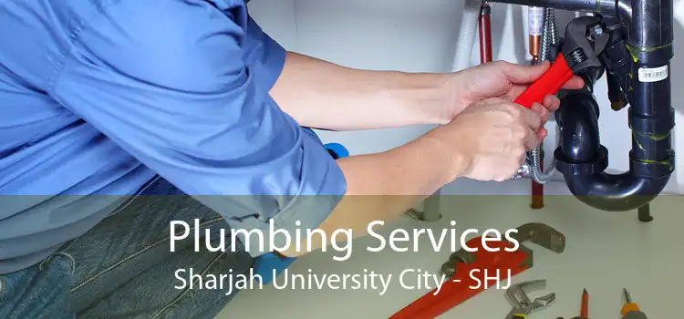 Plumbing Services Sharjah University City - SHJ