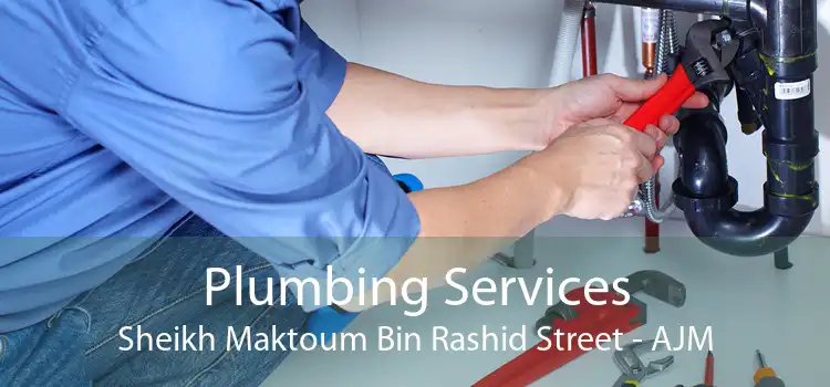 Plumbing Services Sheikh Maktoum Bin Rashid Street - AJM