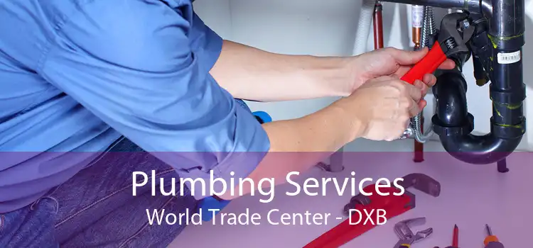 Plumbing Services World Trade Center - DXB