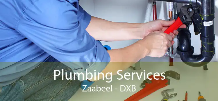 Plumbing Services Zaabeel - DXB