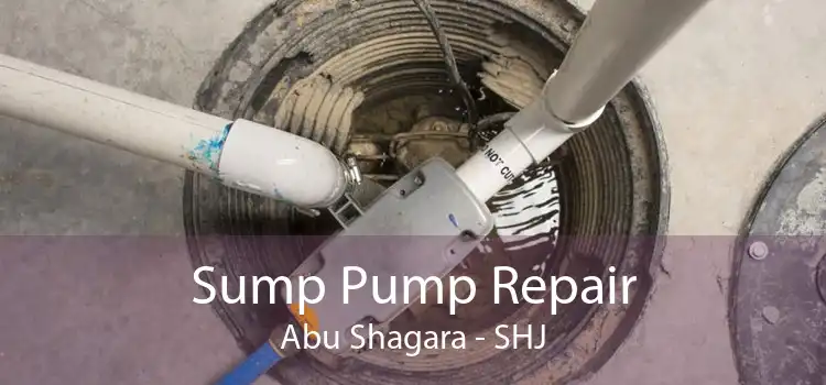 Sump Pump Repair Abu Shagara - SHJ