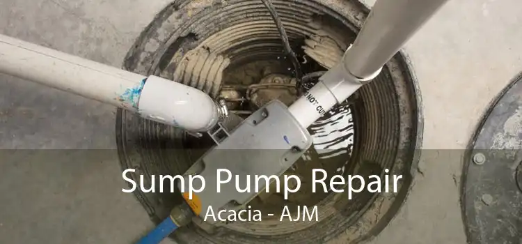 Sump Pump Repair Acacia - AJM