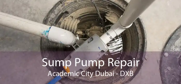 Sump Pump Repair Academic City Dubai - DXB