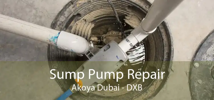 Sump Pump Repair Akoya Dubai - DXB