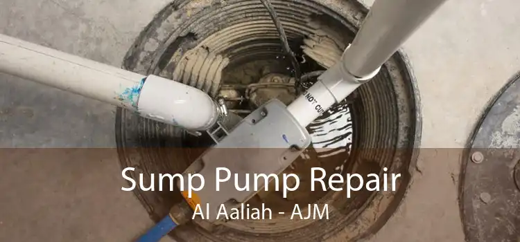 Sump Pump Repair Al Aaliah - AJM