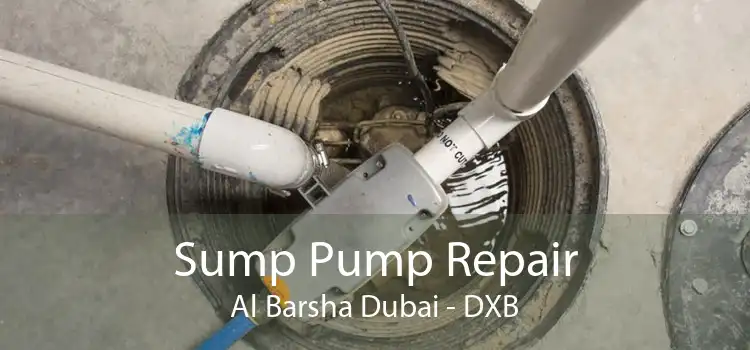 Sump Pump Repair Al Barsha Dubai - DXB