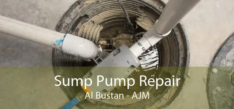 Sump Pump Repair Al Bustan - AJM