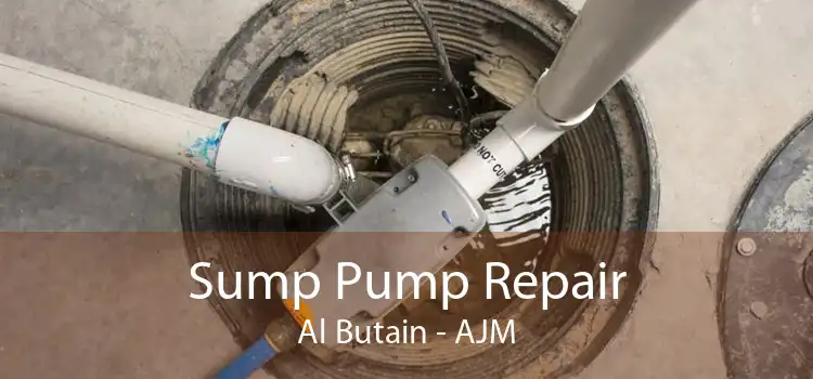 Sump Pump Repair Al Butain - AJM