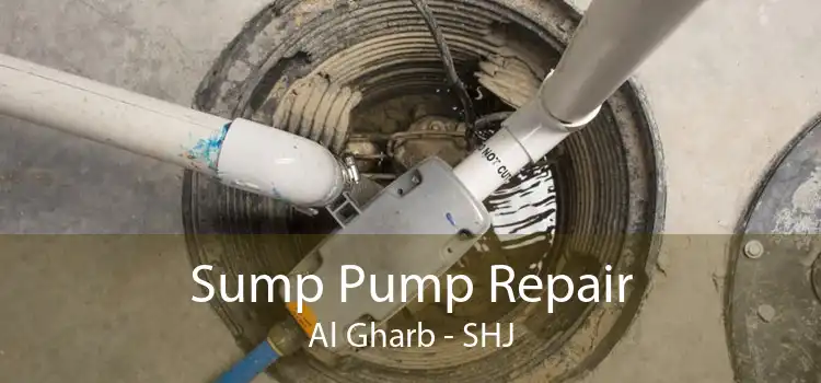 Sump Pump Repair Al Gharb - SHJ