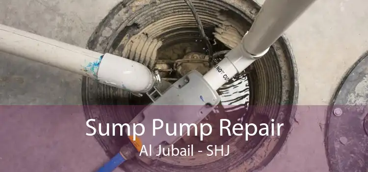 Sump Pump Repair Al Jubail - SHJ