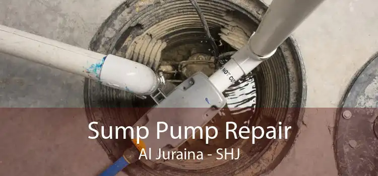 Sump Pump Repair Al Juraina - SHJ