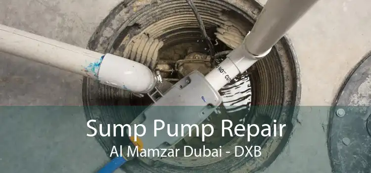 Sump Pump Repair Al Mamzar Dubai - DXB