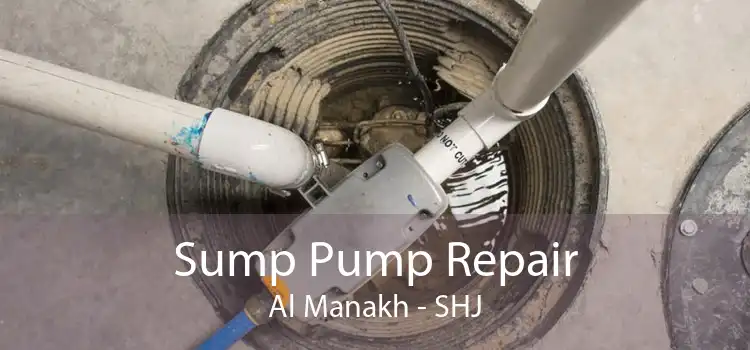 Sump Pump Repair Al Manakh - SHJ