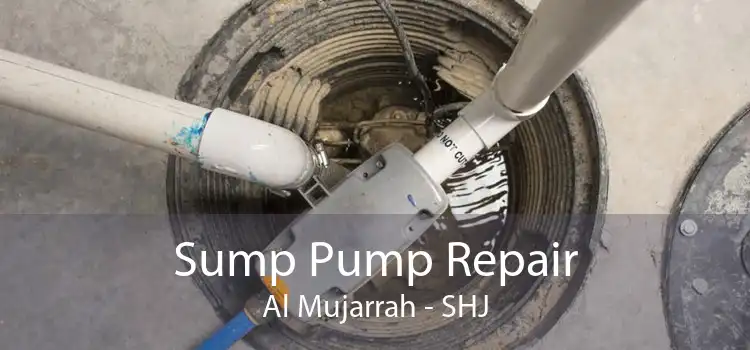 Sump Pump Repair Al Mujarrah - SHJ