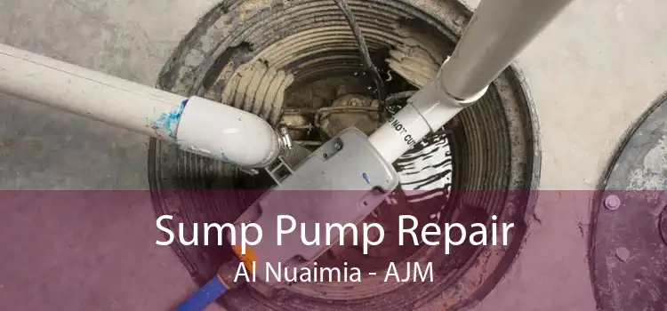 Sump Pump Repair Al Nuaimia - AJM