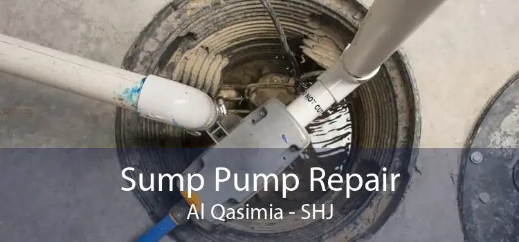 Sump Pump Repair Al Qasimia - SHJ