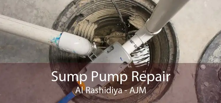 Sump Pump Repair Al Rashidiya - AJM