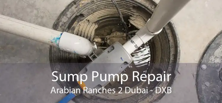 Sump Pump Repair Arabian Ranches 2 Dubai - DXB