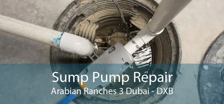 Sump Pump Repair Arabian Ranches 3 Dubai - DXB