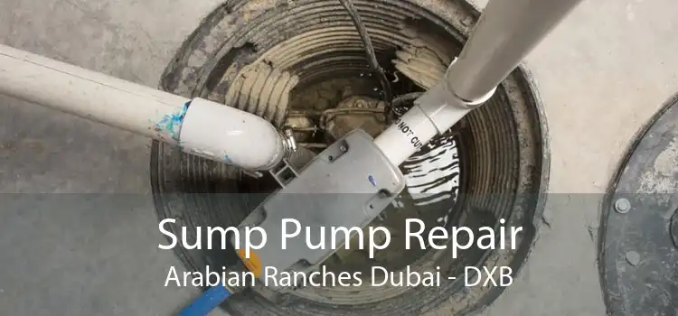 Sump Pump Repair Arabian Ranches Dubai - DXB