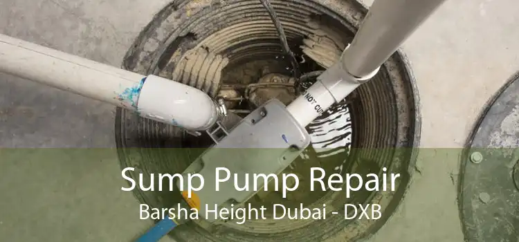 Sump Pump Repair Barsha Height Dubai - DXB