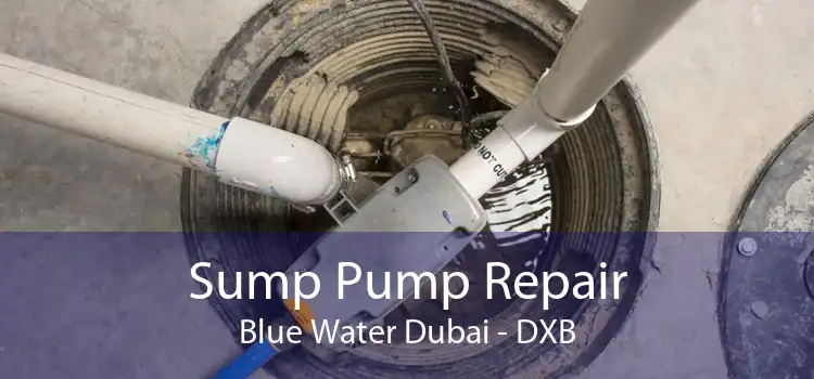 Sump Pump Repair Blue Water Dubai - DXB